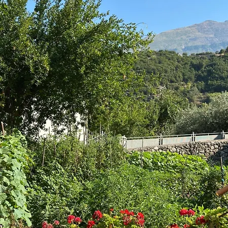 Magnus Διαμέρισμα