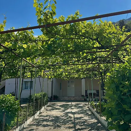 Magnus Appartamento Dukat