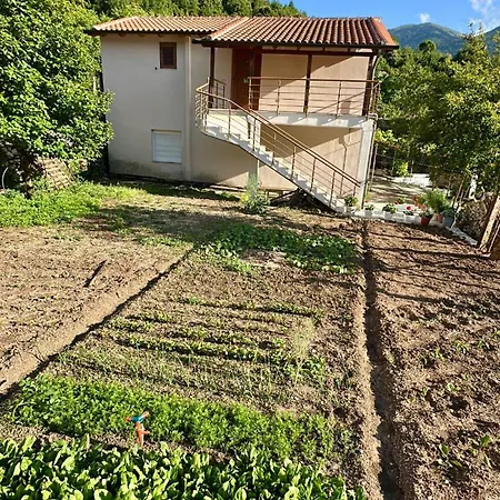 Magnus Apartman Dukat