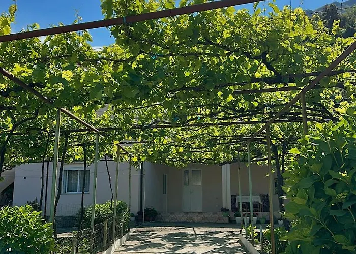 Magnus Apartamento Dukat